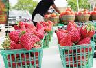 Downtown Mesquite Farmers Market Debuts June 12