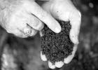Why Should I Get My Soil Tested?