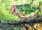 Texas State-Fish Art Contest Reveals 2022 Winners