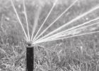 WaterMyYard app Reminds When, How Much to Irrigate Lawns