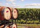Texas Vineyards Report Low Yields, High Quality Grapes
