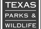28th Annual Great Texas Birding Classic Begins April 15