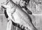 Toyota ShareLunker Program Chalks Up Two More Legacy Lunkers